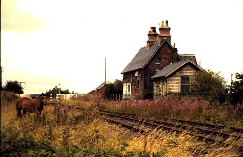 Disused railway line and station house
