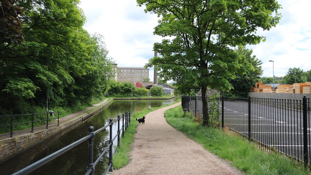 Canal path with trees